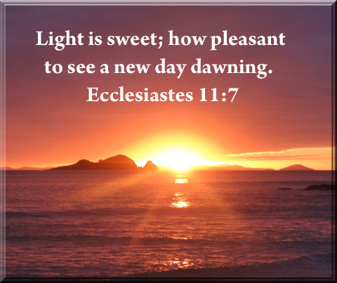 Day 2395 – Wisdom Nuggets – Ecclesiastes 11:7-10 – Daily Wisdom - Wisdom-Trek