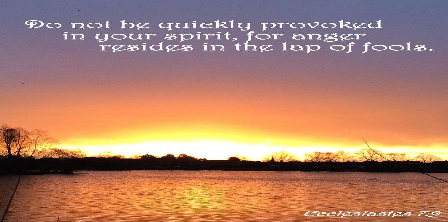 Ecclesiastes 7:9 | The Bottom of a Bottle