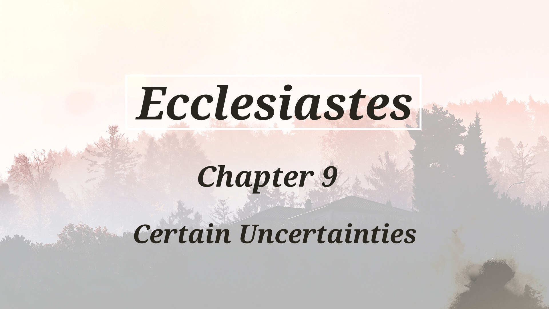 What Time Is It? | Ecclesiastes/Job Lesson 9 | Ecclesiastes 3:1-15 | August 1, 2021 – Sunday ...