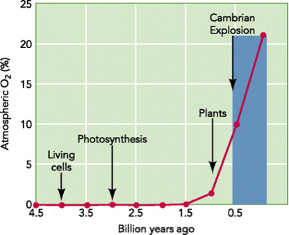 https://petervan.files.wordpress.com/2012/07/cambrian2.jpg