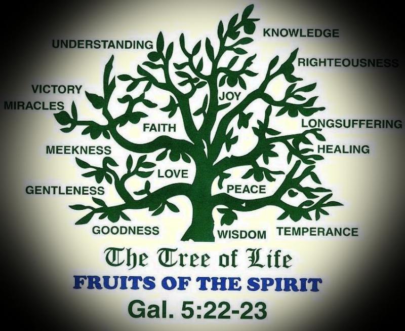 http://christrescuemission.org/yahoo_site_admin/assets/images/tree_of_life_fruit_of_Spirit_.349182247_std.JPG
