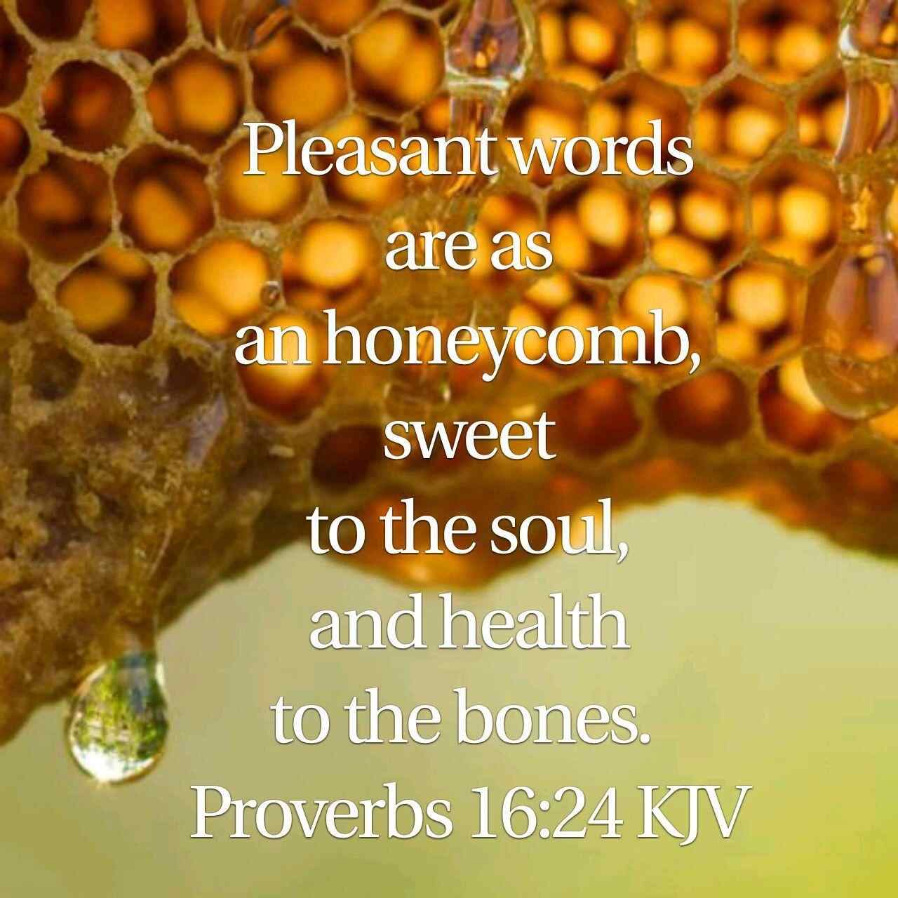 Proverbs 16:30 WEB Mobile Phone Wallpaper - One who winks his eyes to plot perversities, One