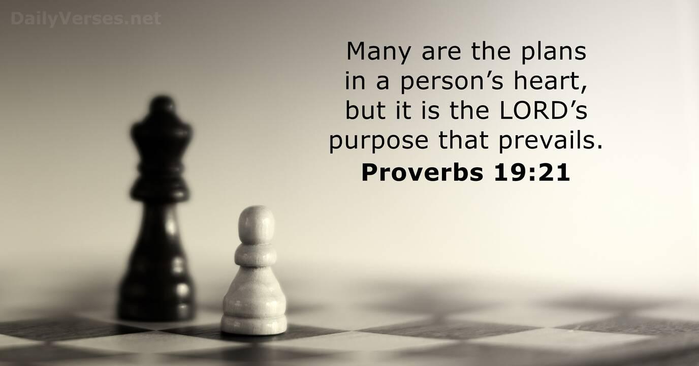 Proverbs 19:21 - Bible verse - DailyVerses.net