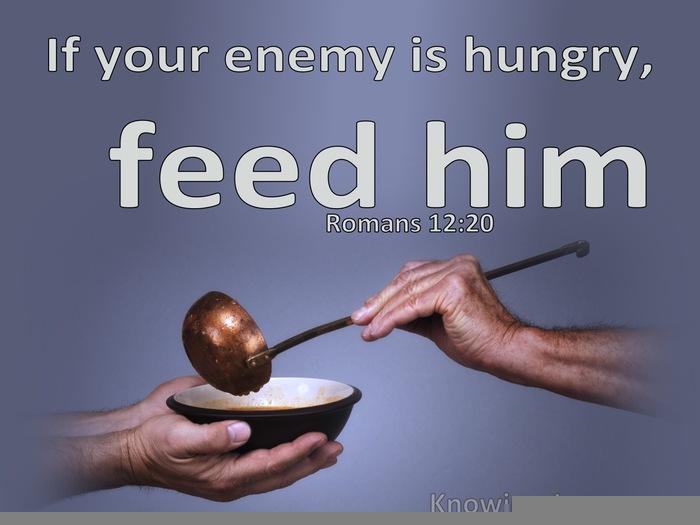 Proverbs Daily Reflection – January 25, 2025 – Joseph Mekael Page