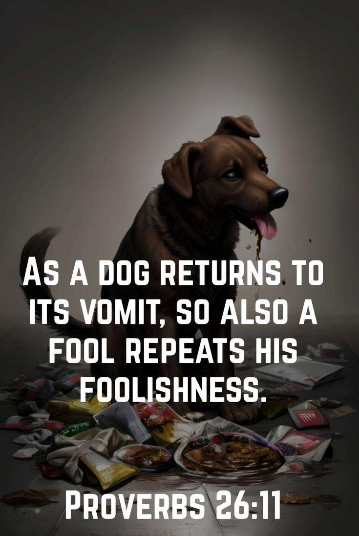 As a dog returns to its vomit, so also a fool repeats his foolishness. Proverbs 26:11 CSB ...