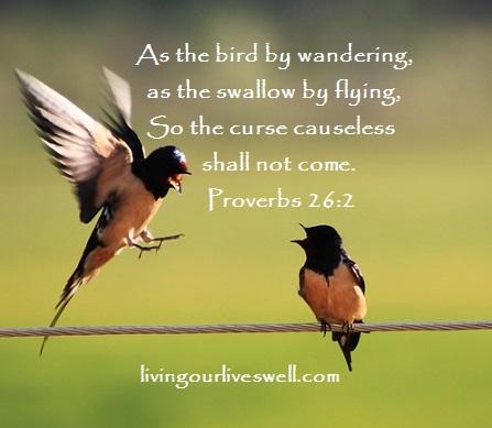 Living Our Lives Well: Proverbs 26 Scripture Pictures