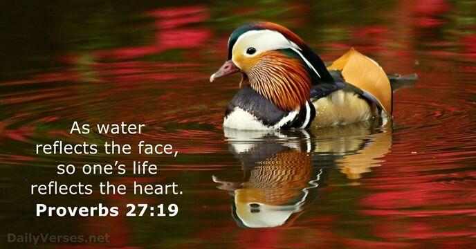 Proverbs 27:19 - Bible verse - DailyVerses.net