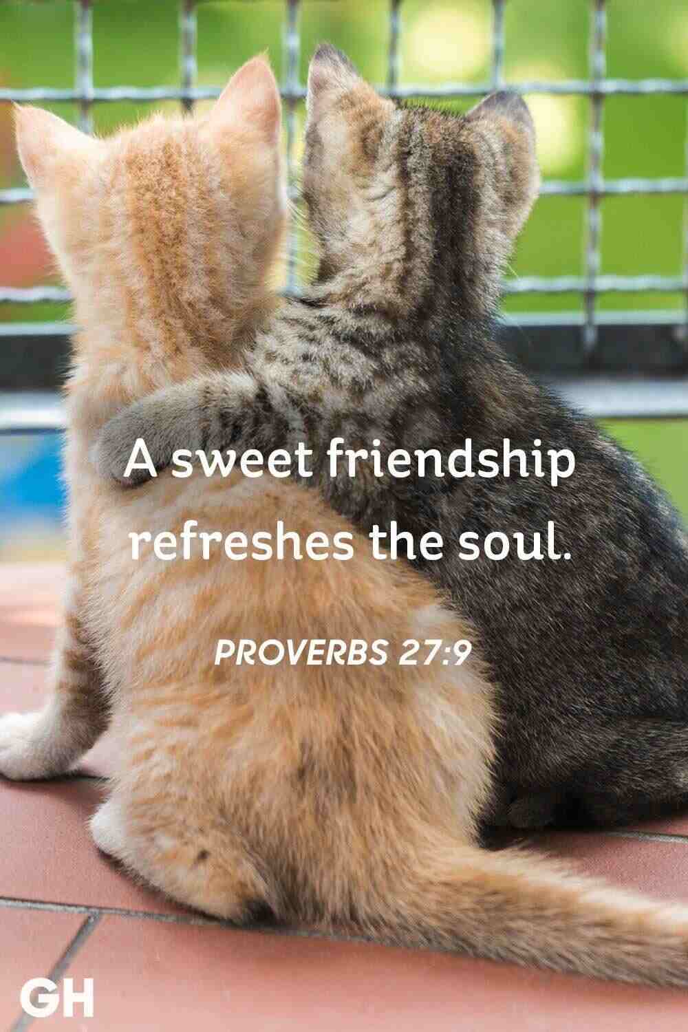 Proverbs 27:9