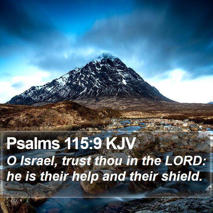 Psalms 115:9 KJV - O Israel, trust thou in the LORD: he is their