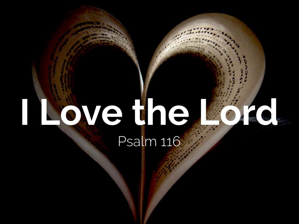 I Love the Lord by Scott McCown