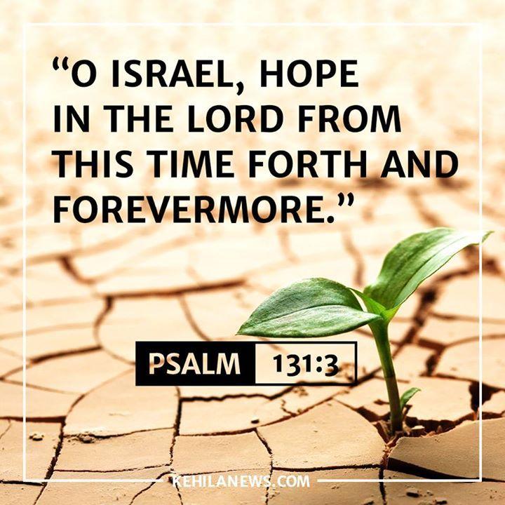 "O Israel hope in the Lord from this time forth and forevermore." Psalm 131:3 LIKE=AMEN ...