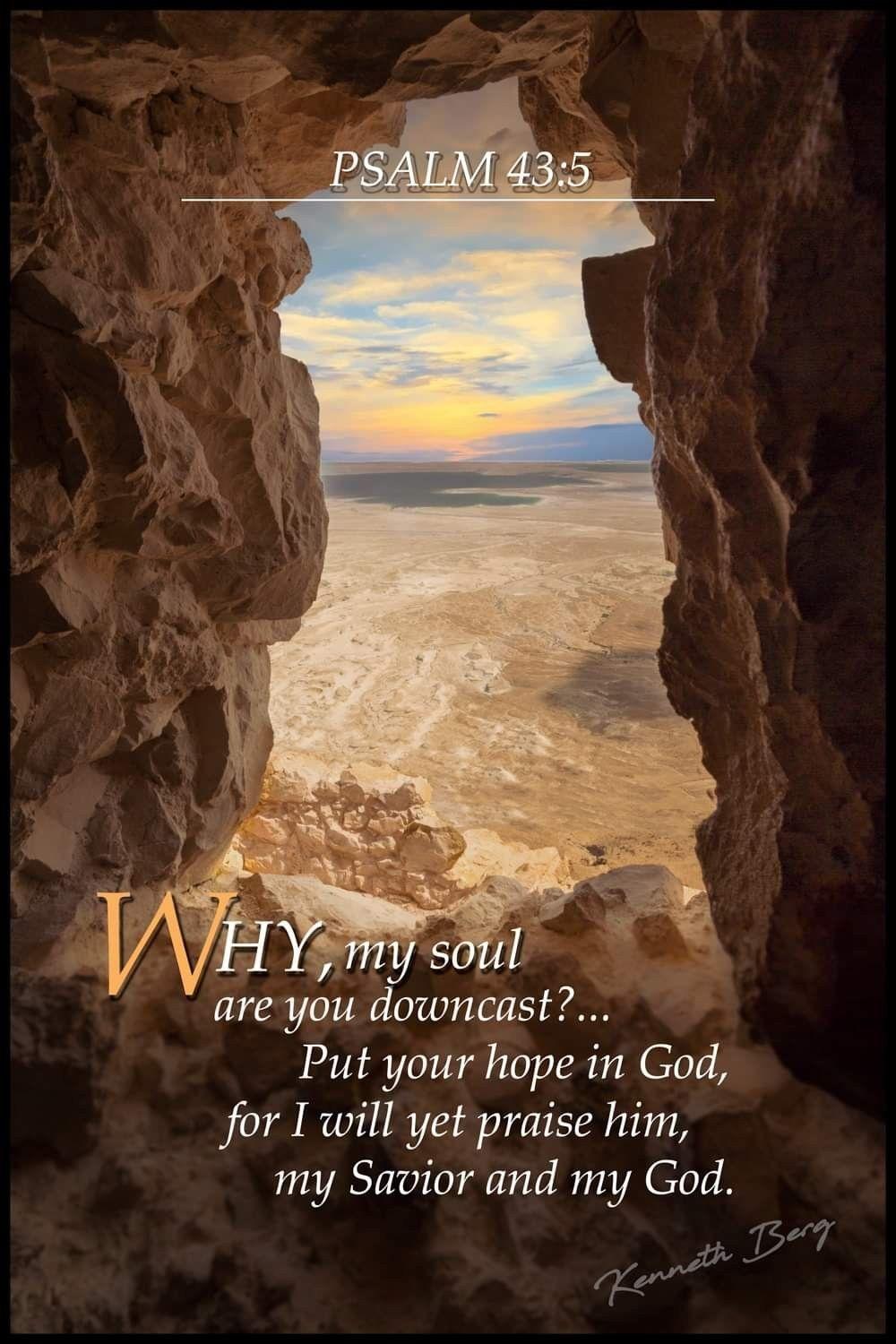 Pin by Martha Lowrey on A Christian Inspiration | Hope in god, Psalm 43:5, Christian pictures