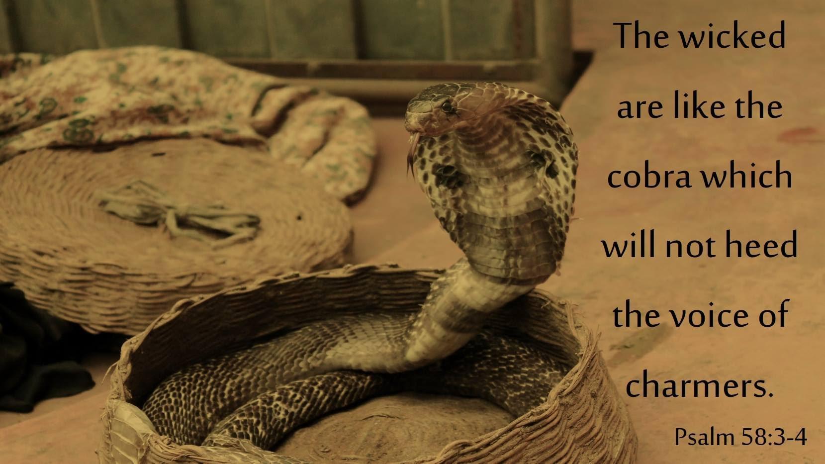 Psalm 58 Lessons Regarding God s Justice And Judgment Of Evil