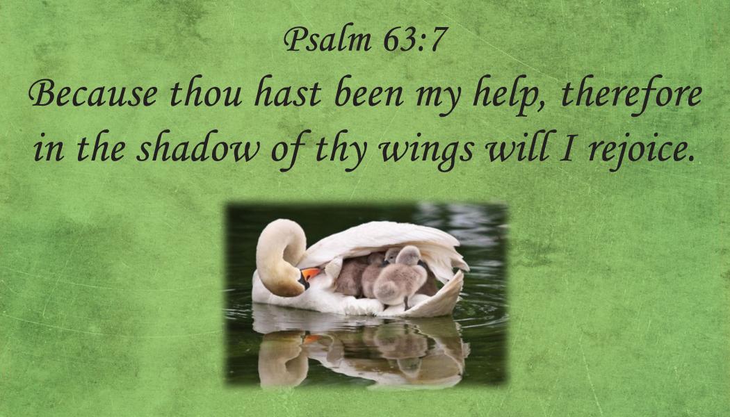 PQ VC Psalm 63:7 (Pack of 10)